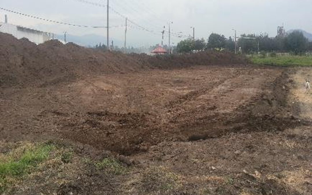 INGENIERÍA BÁSICA NUEVA PLANTA DE  PRODUCCIÓN